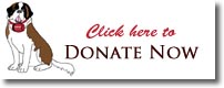 Donate Now