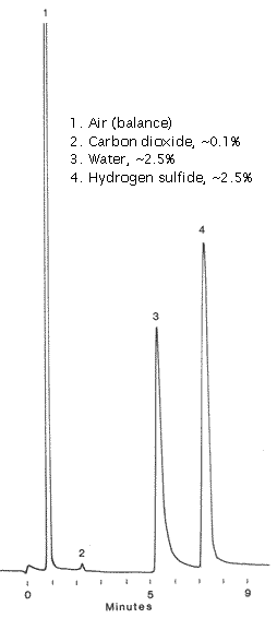 hydrogen sulfide analysis