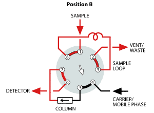 Position B