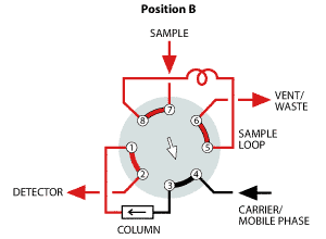 Position B